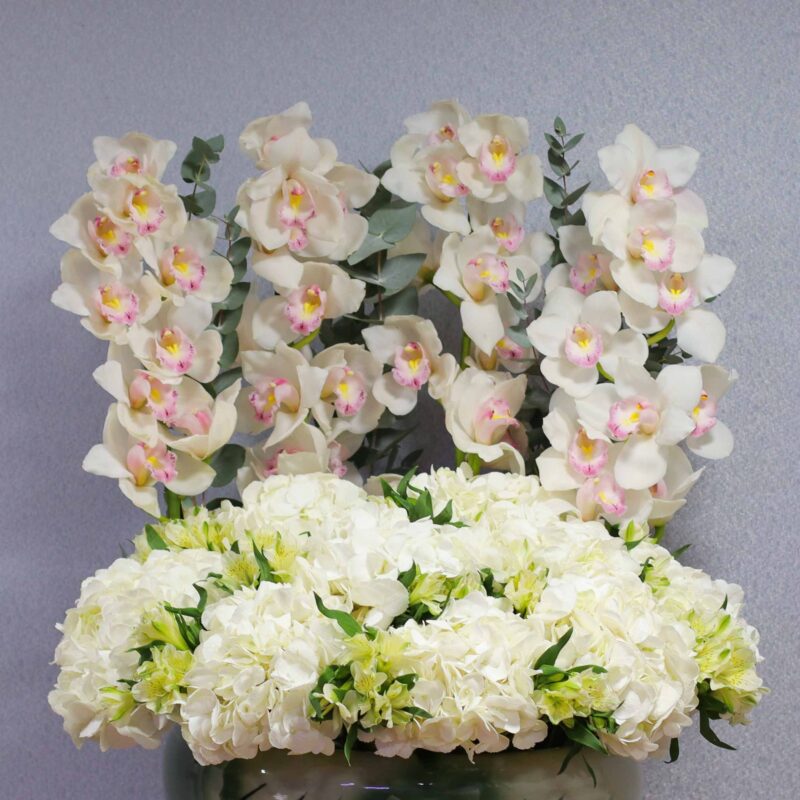 Celebration - Image 2