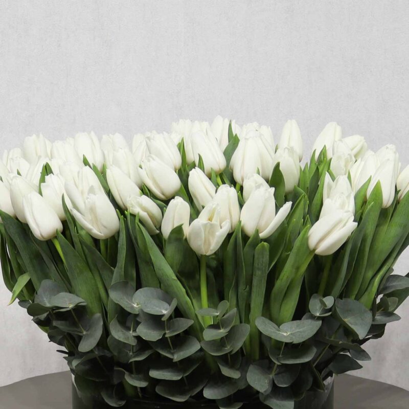 White Miss - Image 2