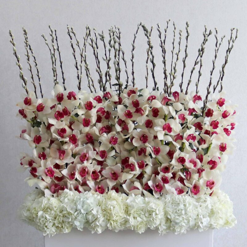 Alyssum White - Image 2