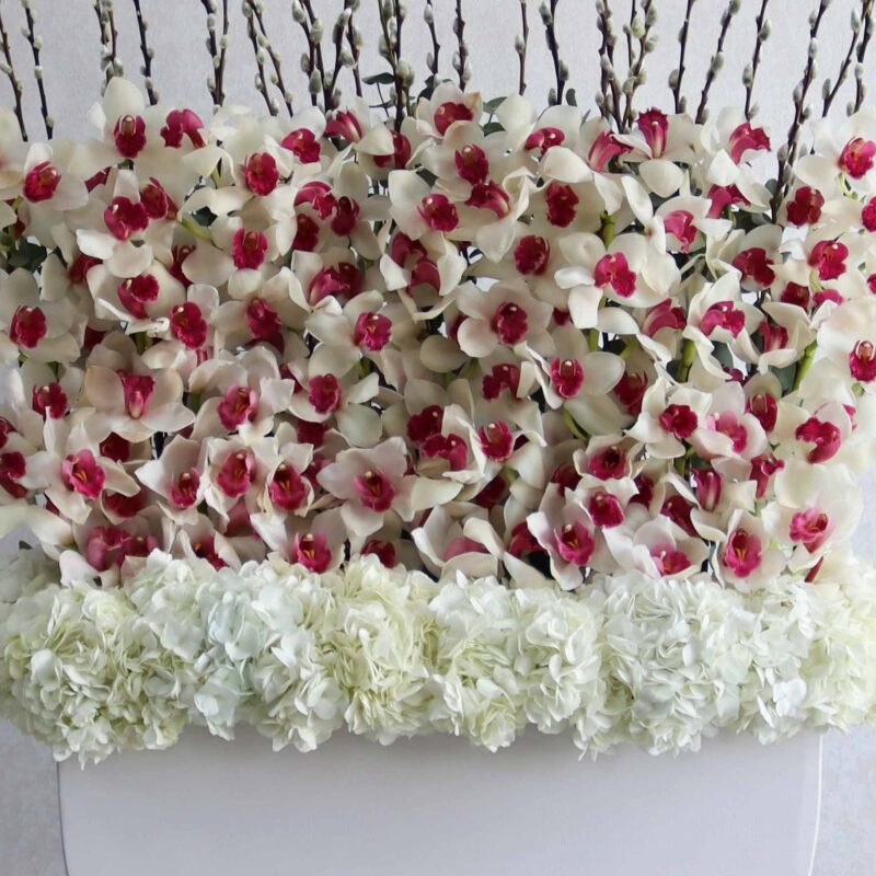 Alyssum White - Image 3