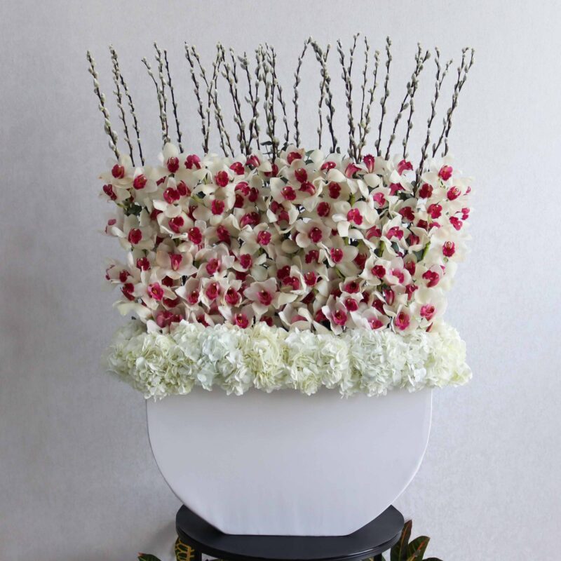 Alyssum White