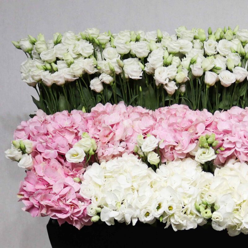 Beauty Of Garden Pink - Image 2