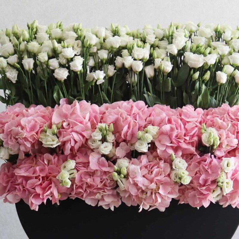 True Pink Beauty - Image 2