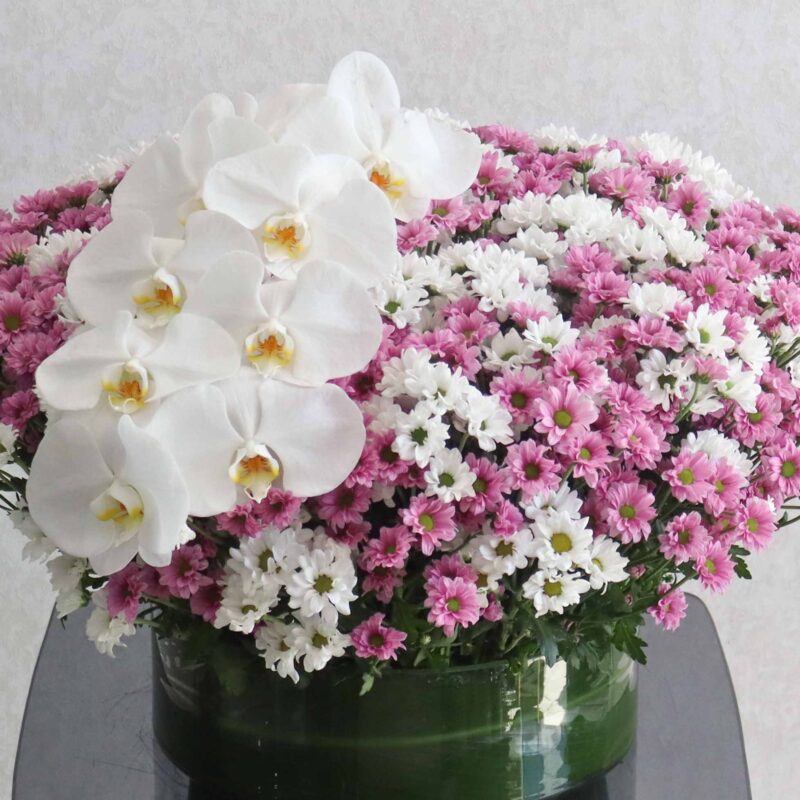 Blooming Chrysanthemum II - Image 2