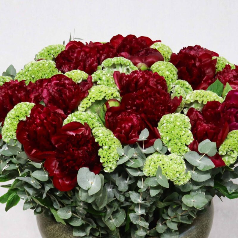 Red Peonies Blooms - Image 2
