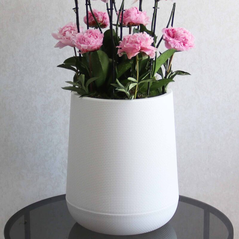 Pleasant Peonies - Image 3