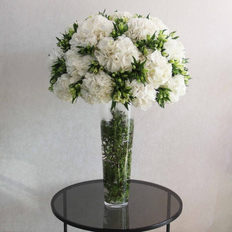 Beauty Garden White