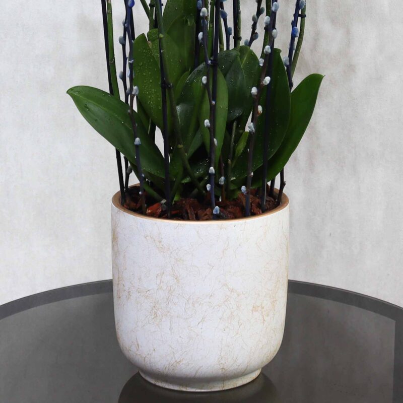 Blue Blooms - Image 3