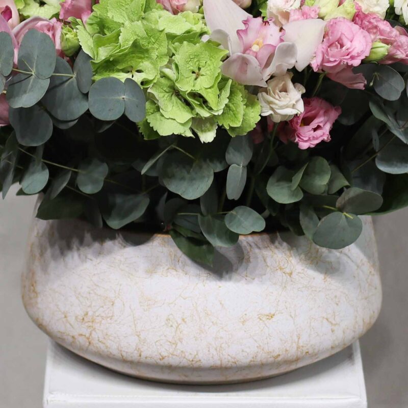 Beautiful Blooms II - Image 3
