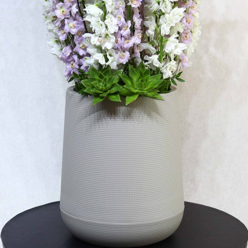 Elegant Delphinium - Image 3