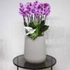 Floral Thrills II