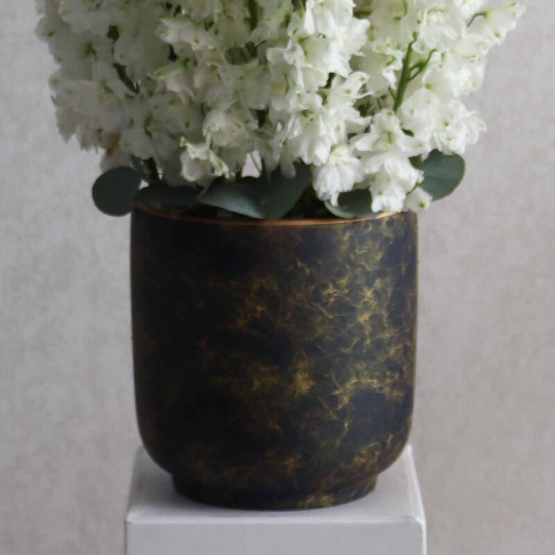 White Delphinium - Image 3