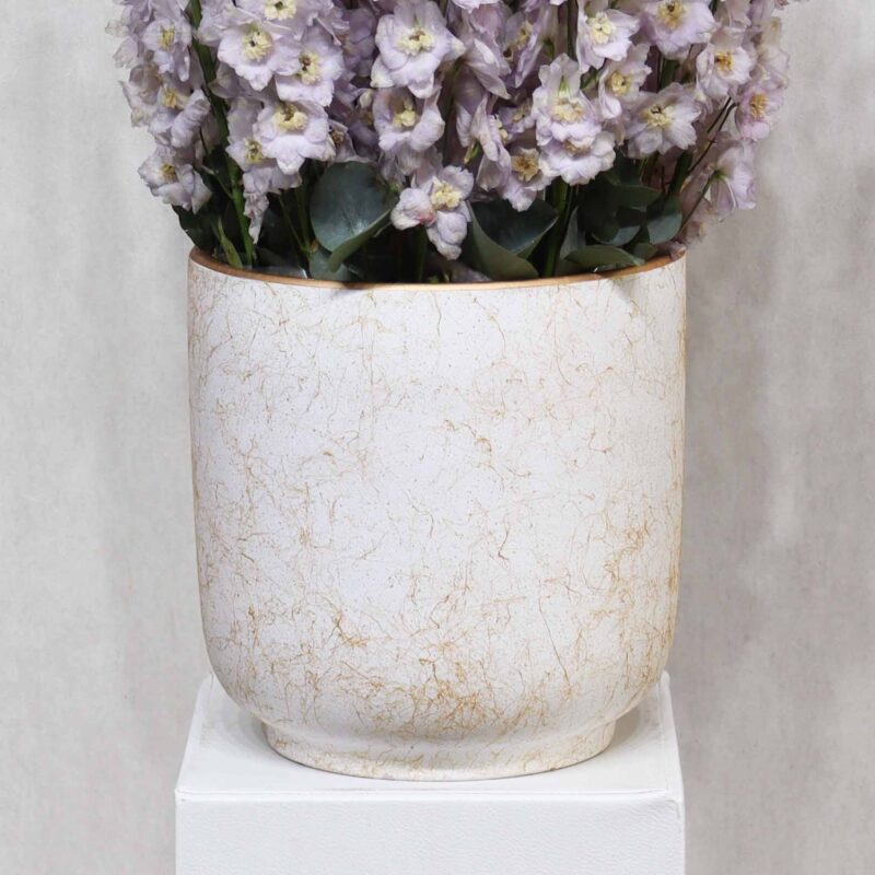 Mild Purple Delphinium - Image 3