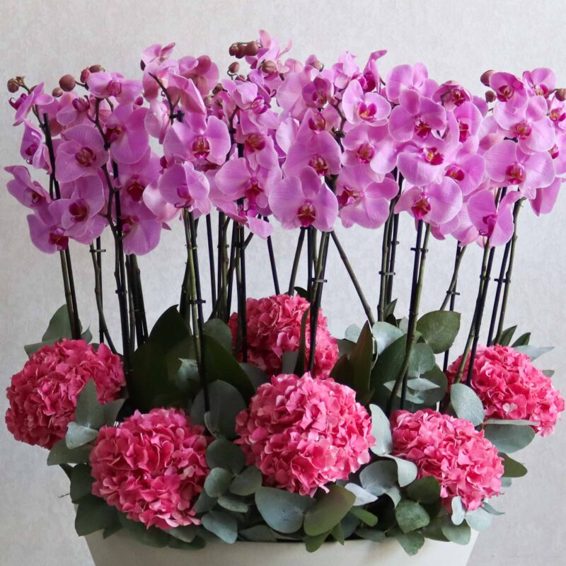 Alluring Blooms XL - Image 2
