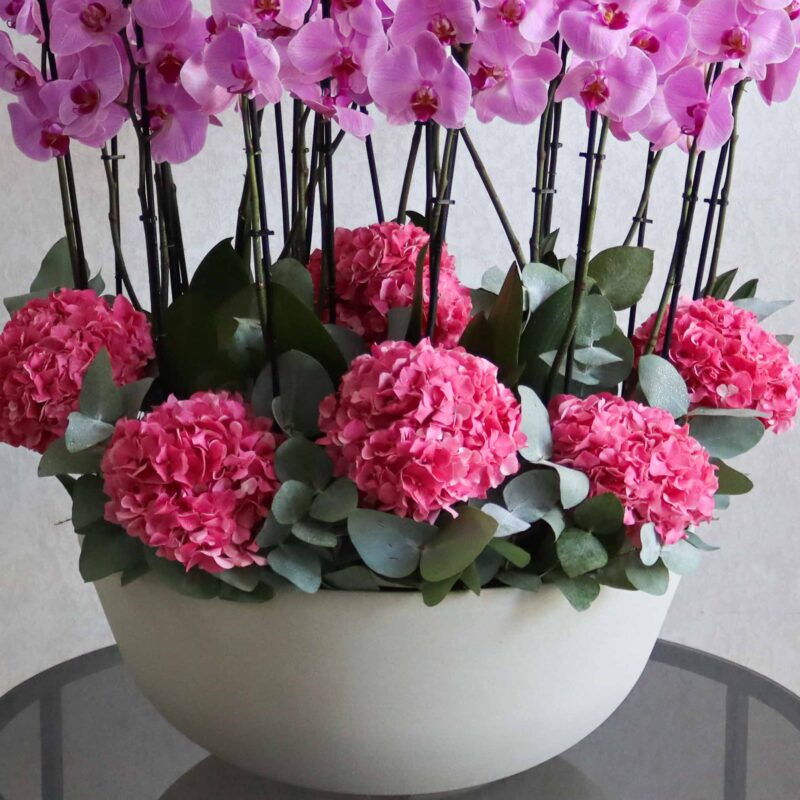 Alluring Blooms XL - Image 3