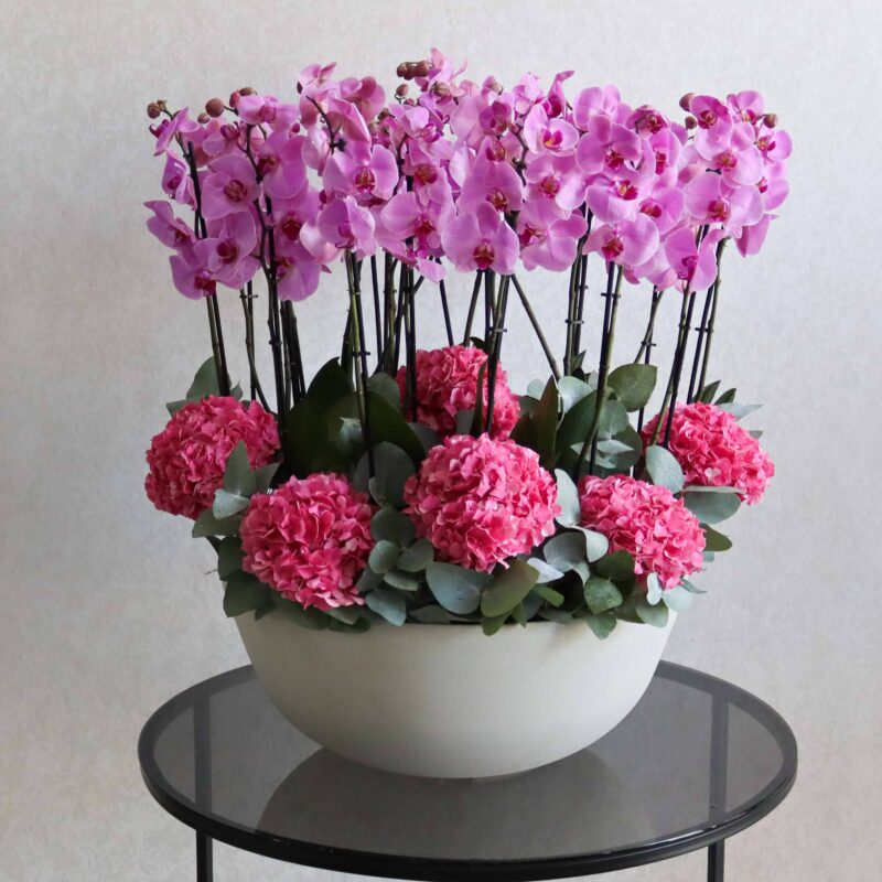 Alluring Blooms XL