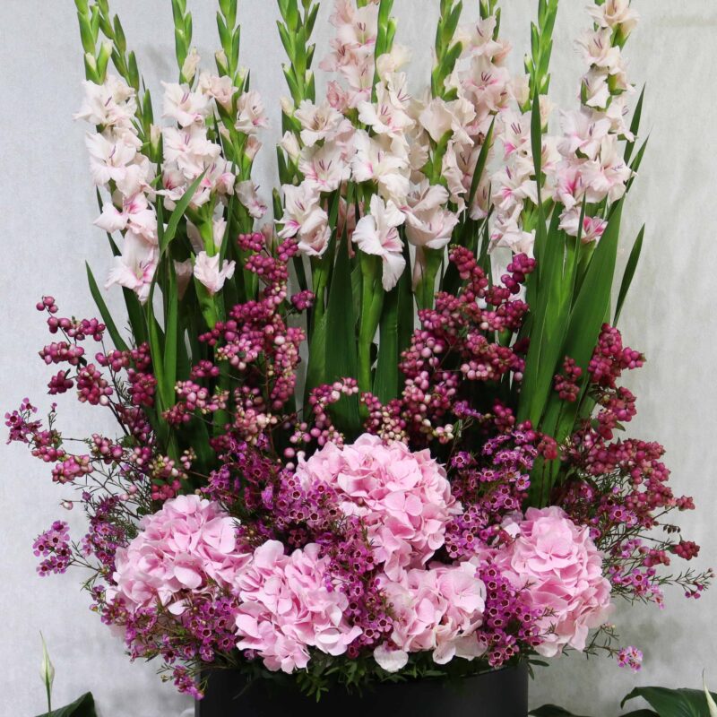 Floral Thrills Pretty - Image 2