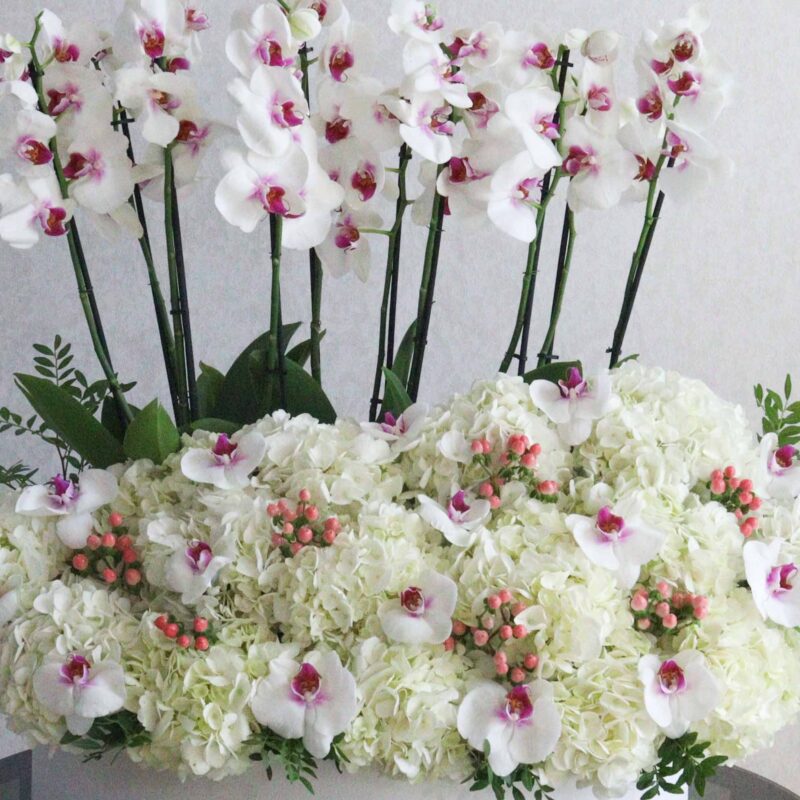 Orchid Beauty - Image 2