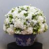 Snow Blossom XL