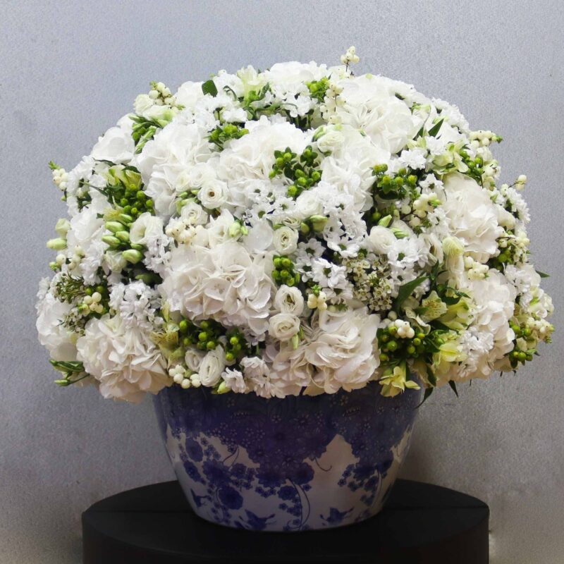 Snow Blossom XL