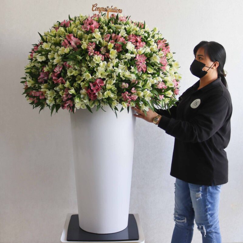 Beauty Garden XL