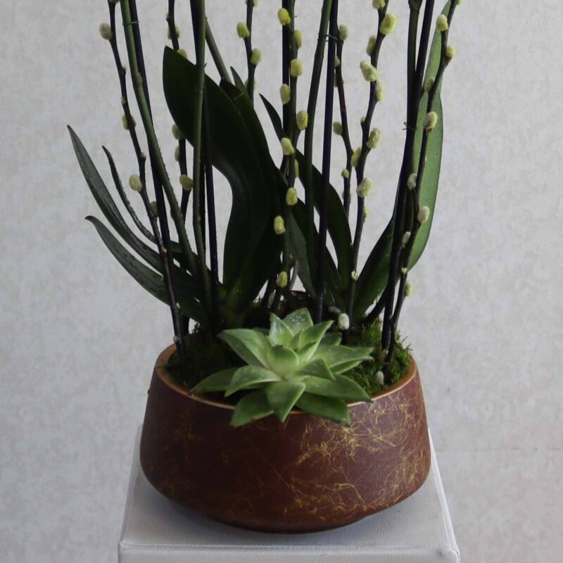 New Blooms - Image 3