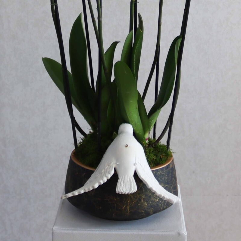 New Blooms II - Image 3