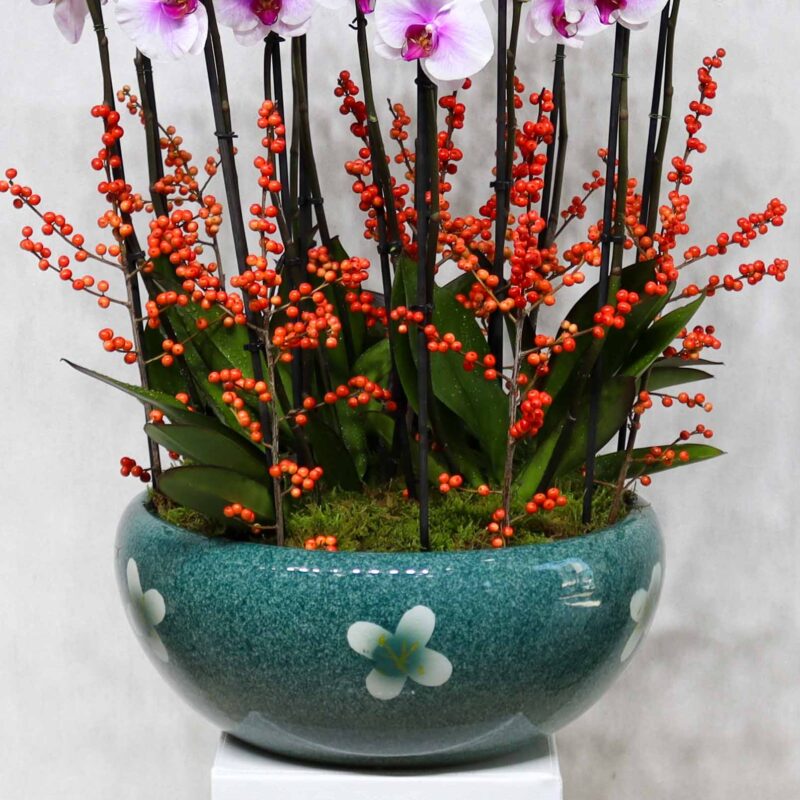 Finest Blooms - Image 3