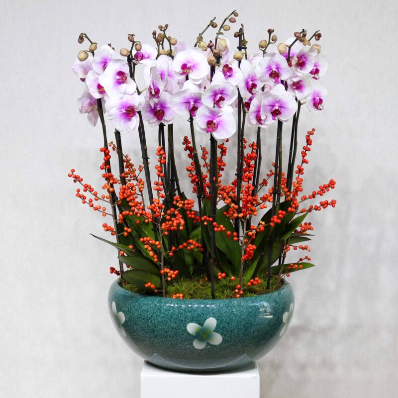 Finest Blooms