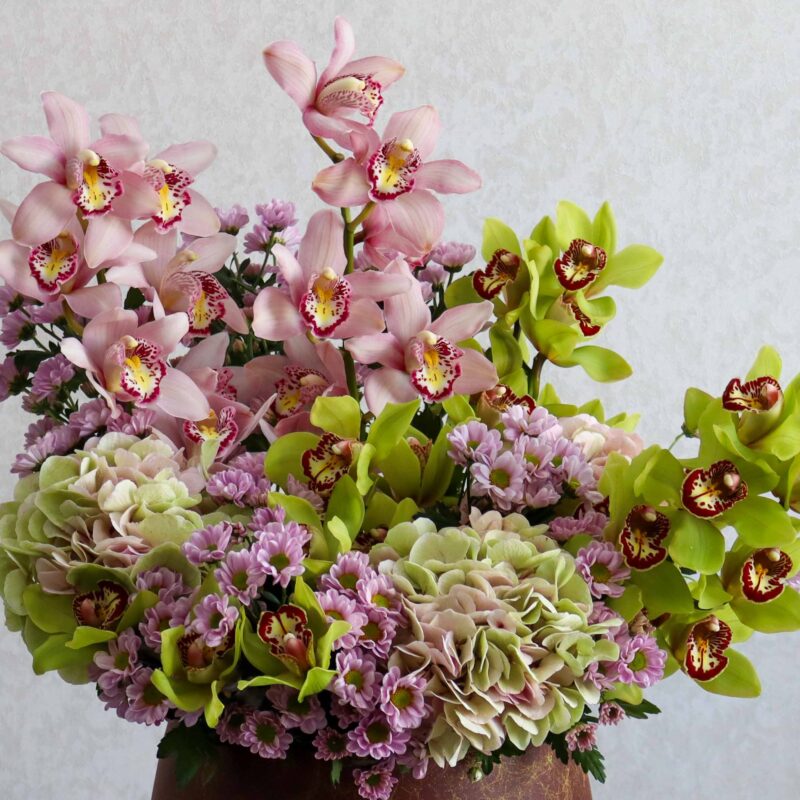 Cymbidium - Image 2