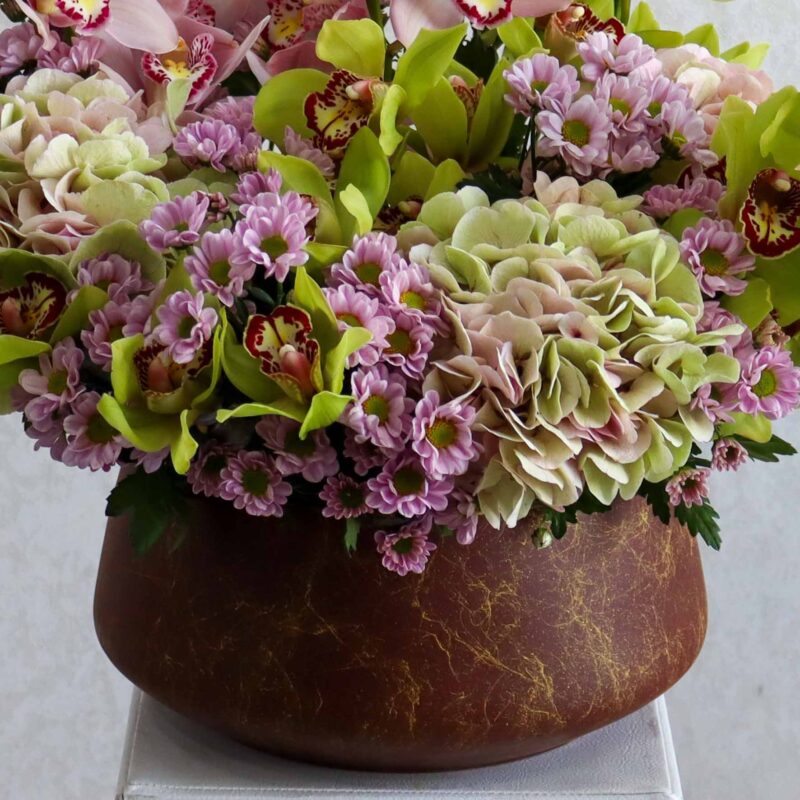 Cymbidium - Image 3