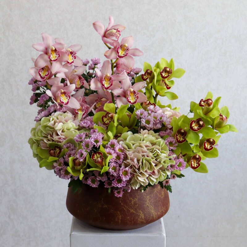 Cymbidium