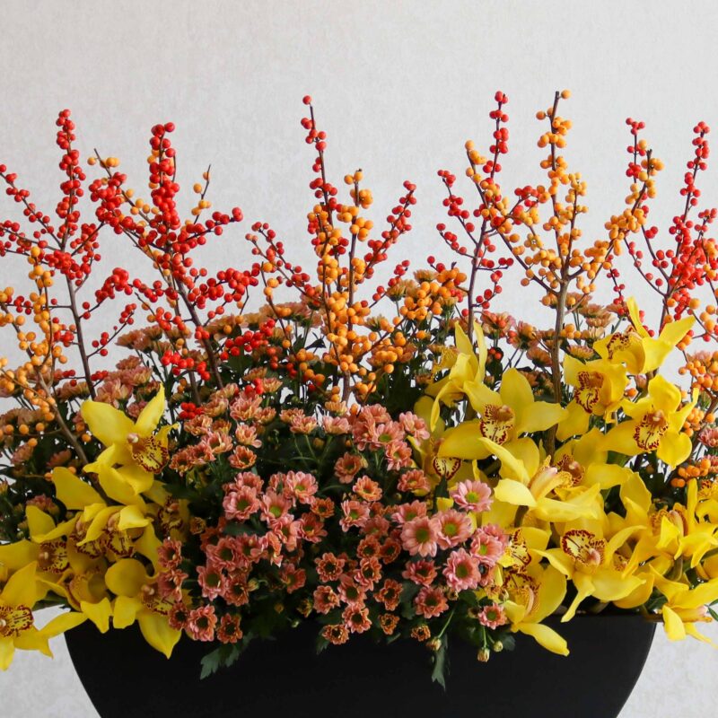 Red & Yellow - Image 2