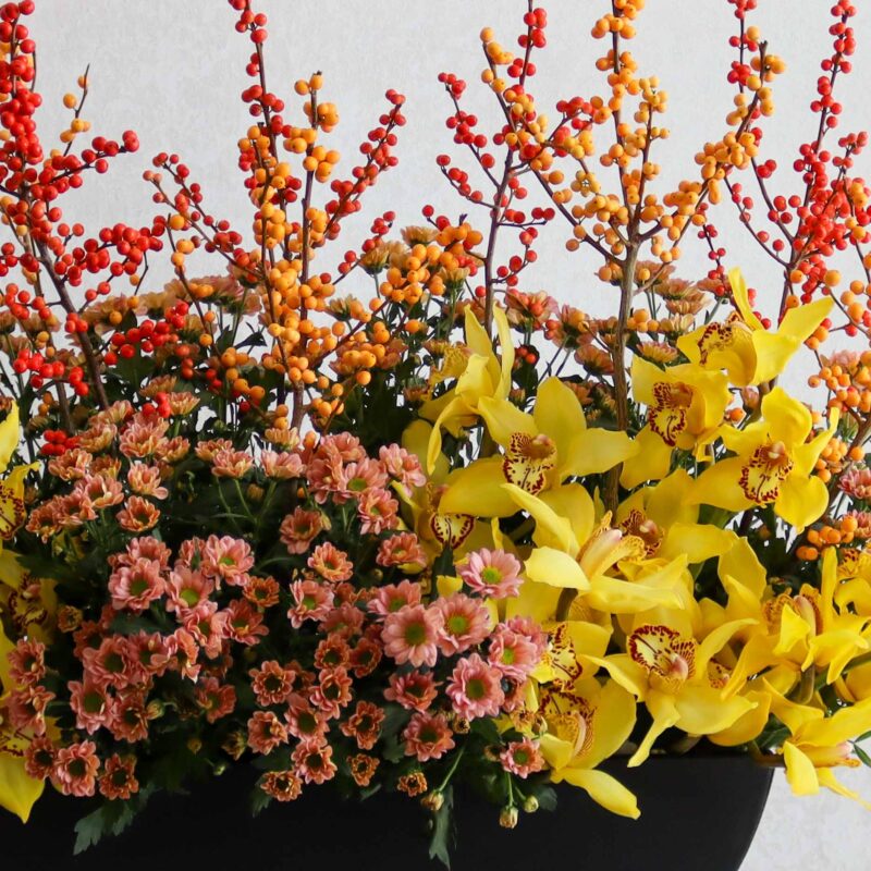 Red & Yellow - Image 3