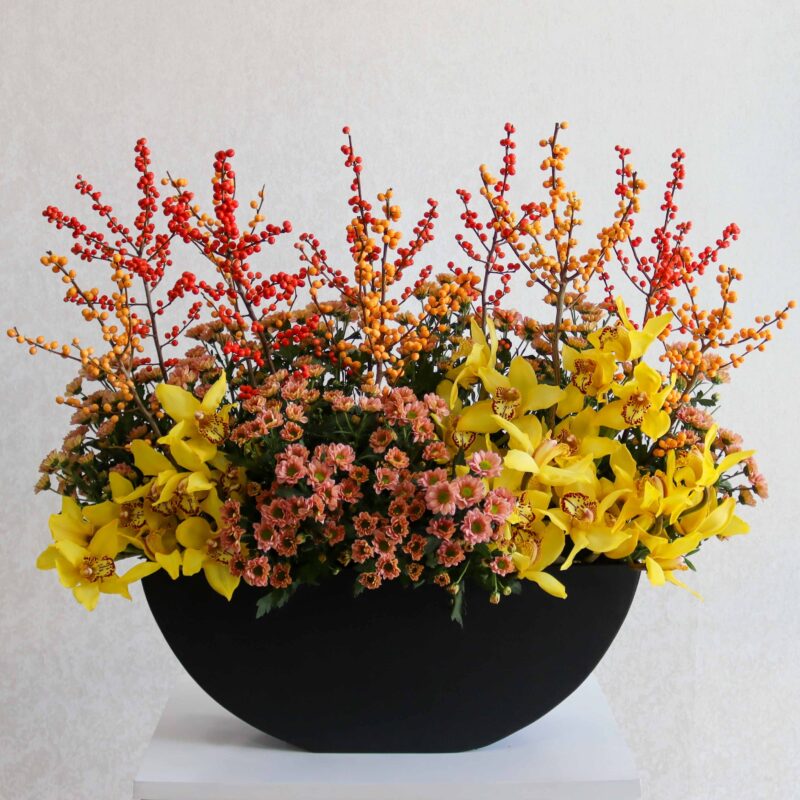 Red & Yellow