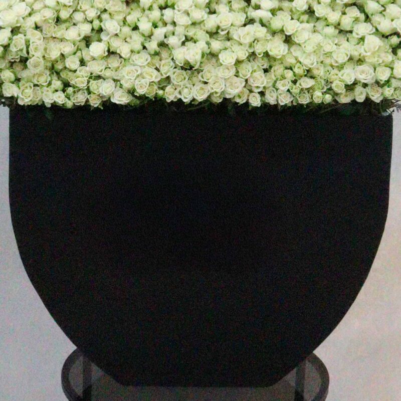 Premium White 2 - Image 3