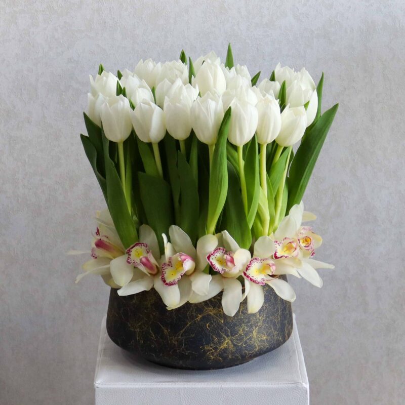 New Tulip White