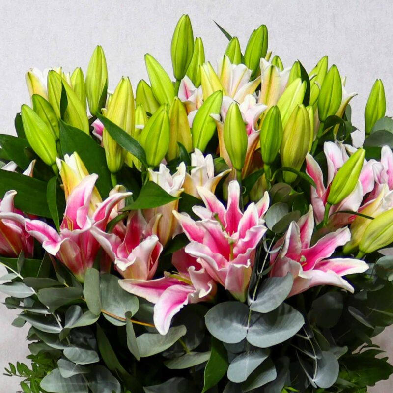 Blossom Lily - Image 2