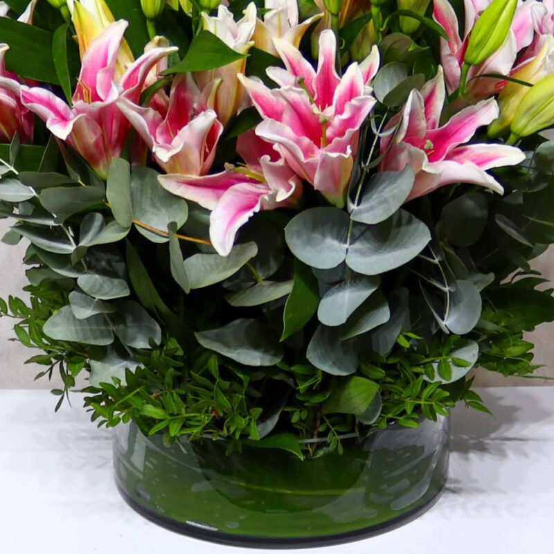 Blossom Lily - Image 3