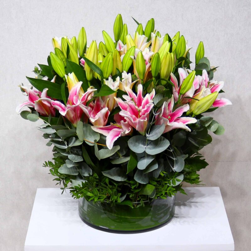Blossom Lily