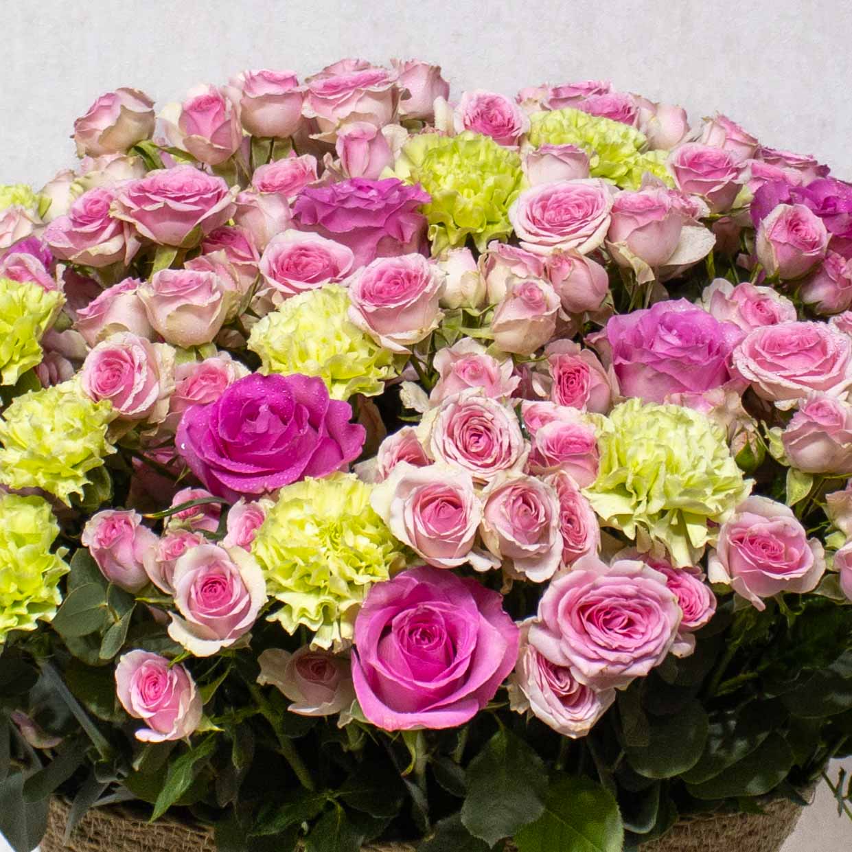 New Passion - Image 2