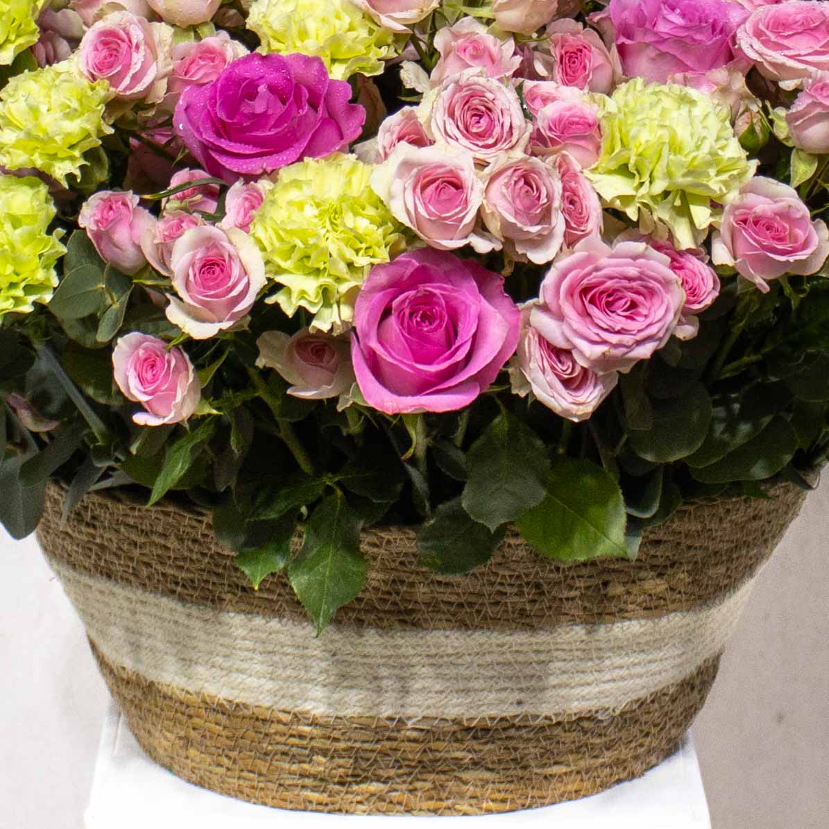 New Passion - Image 3