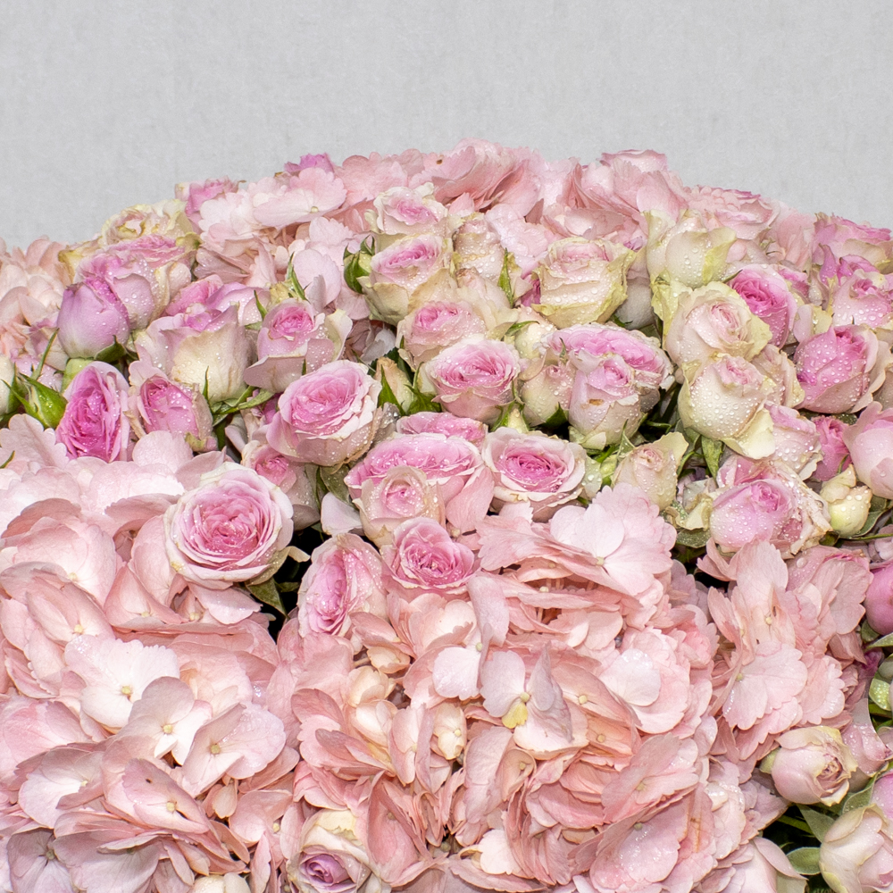 Pretty Fuchsia - Image 2
