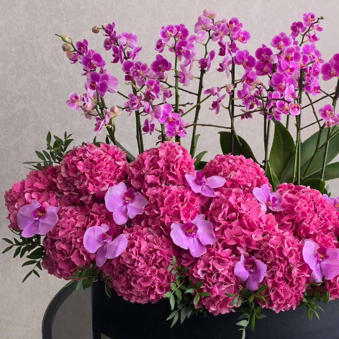 New Bloom - Image 2