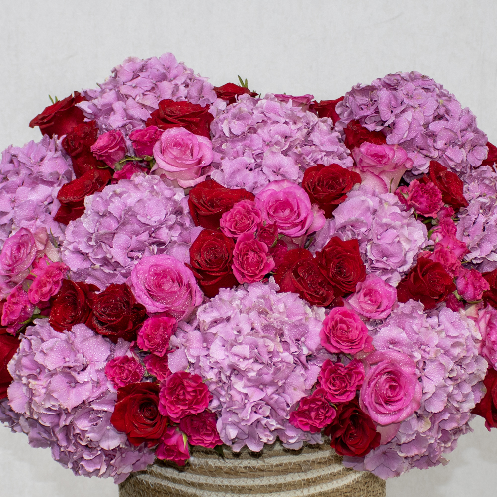 Ultimate Love - Image 3