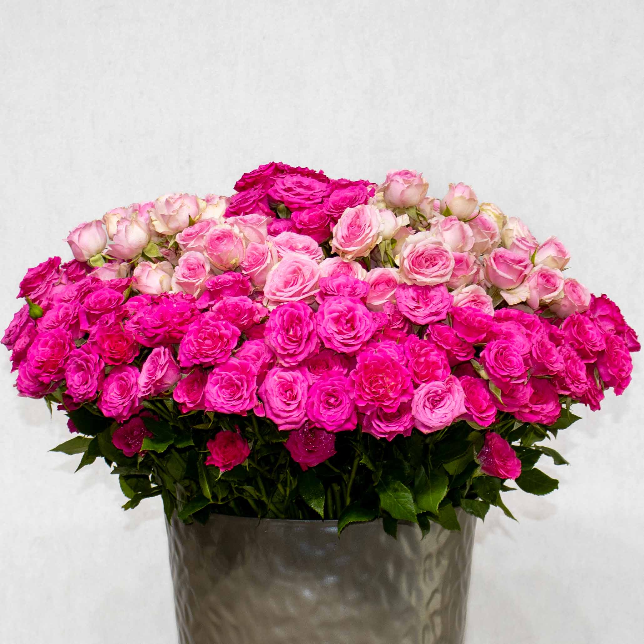Mix Bloom - Image 2