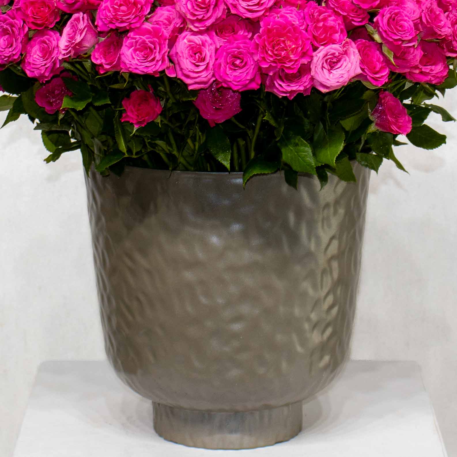 Mix Bloom - Image 3