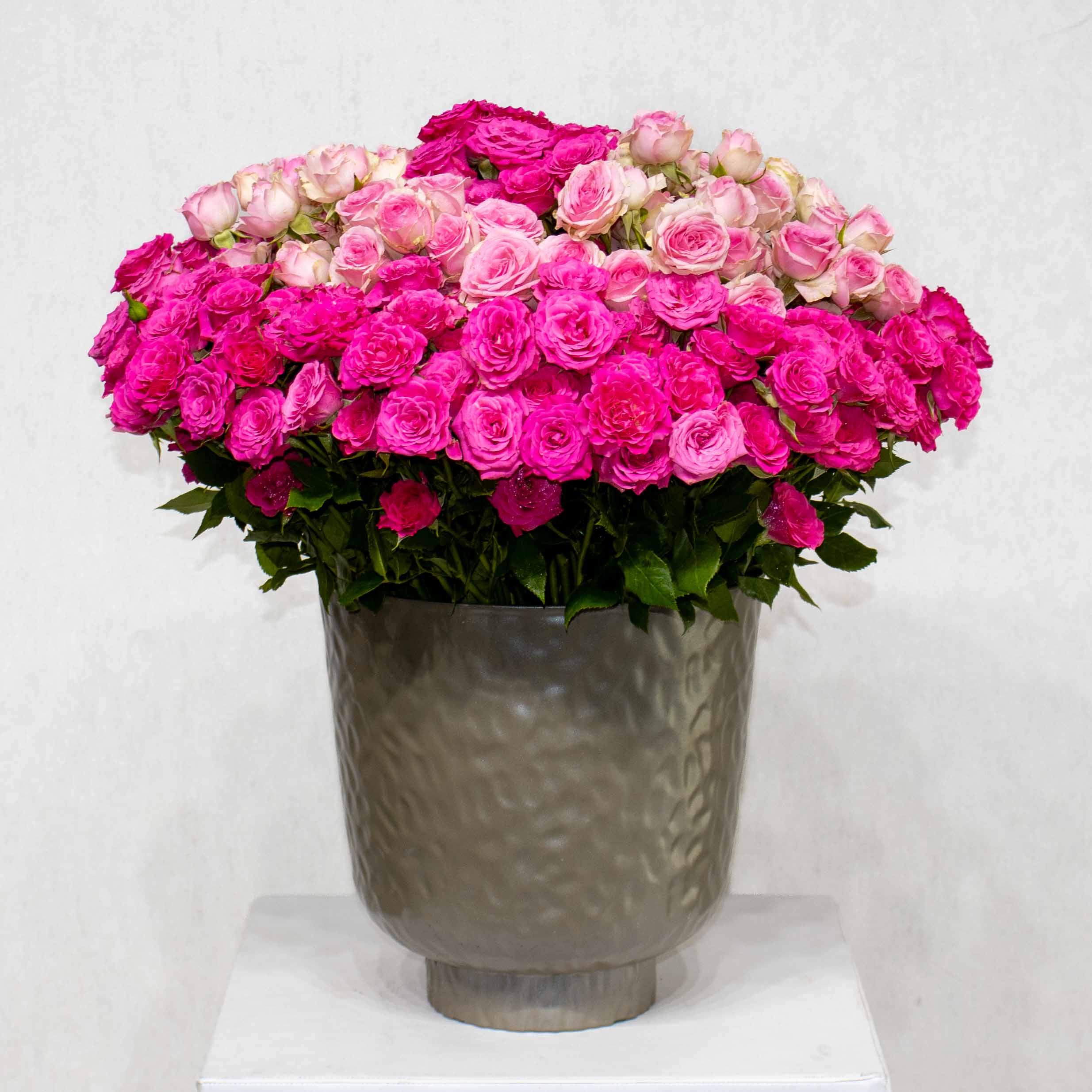 Mix Bloom