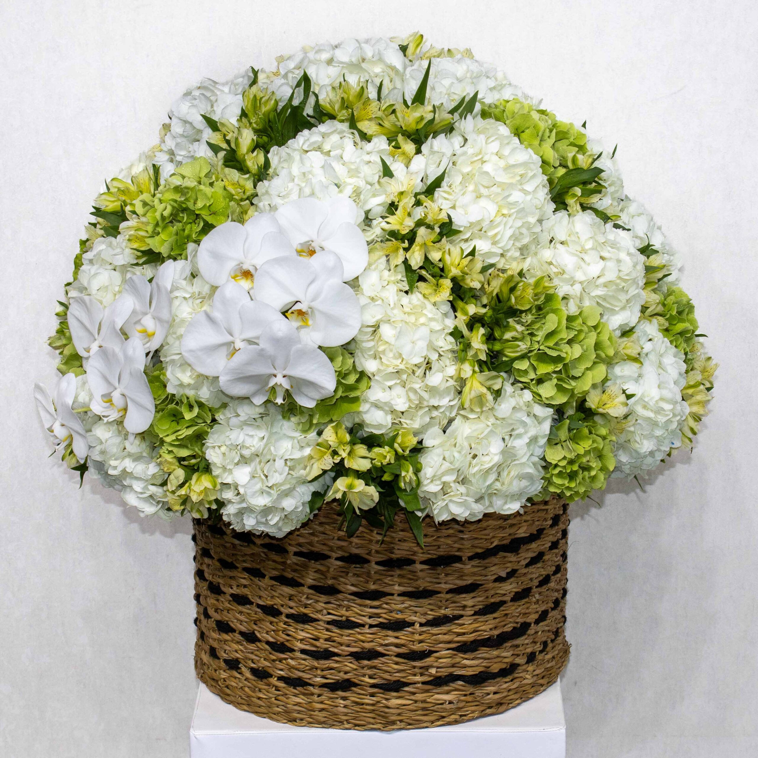 Big Bloom White