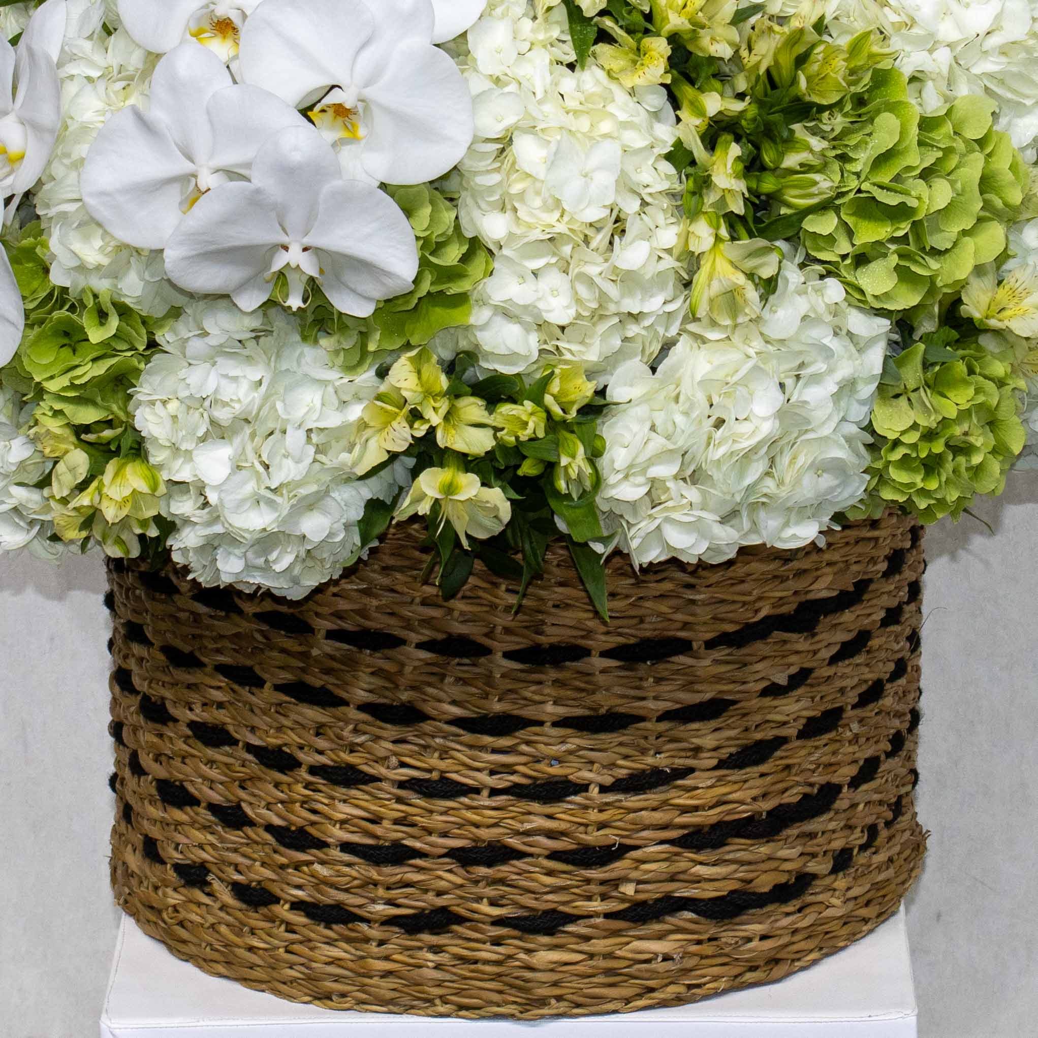 Big Bloom White - Image 3